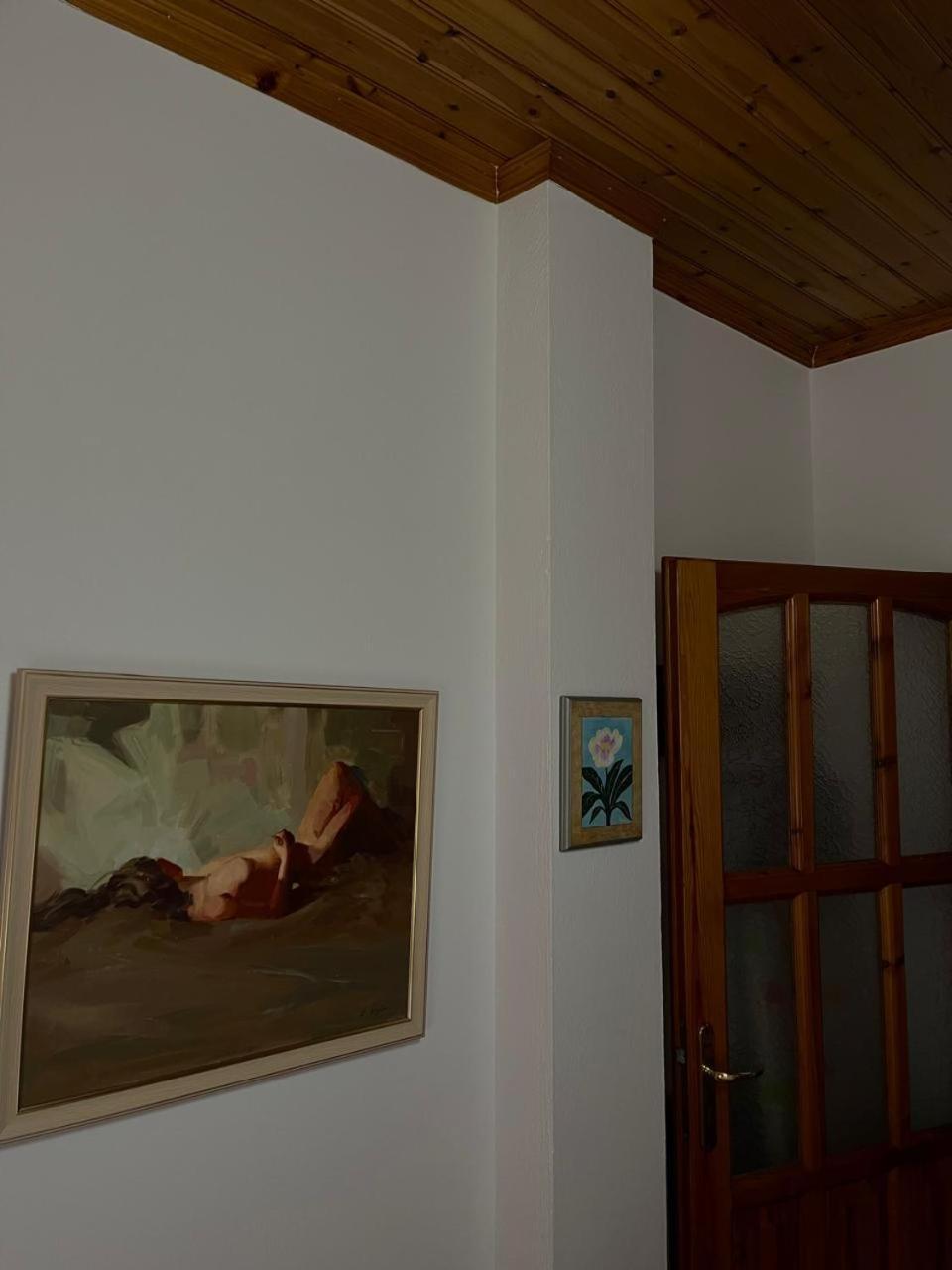 Andria'S Apartment ジロカストラ エクステリア 写真